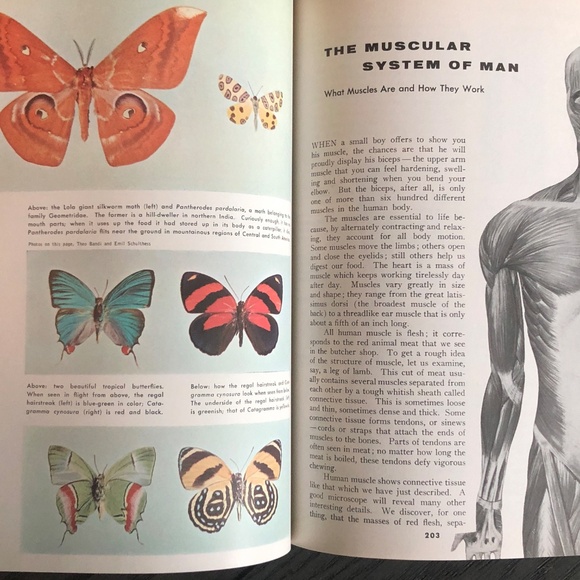 3/$24 VTG 1964 Grolier Book of Popular Science Vol. 3 Hardcover Encyclopedia GUC - Picture 7 of 16